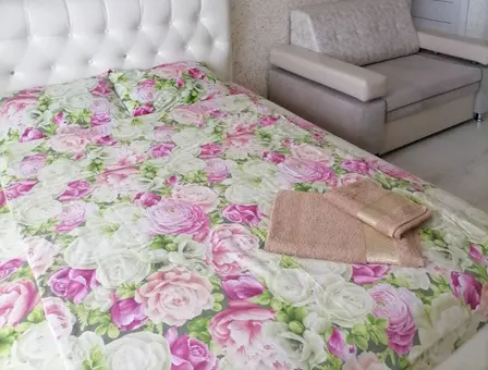 3 room appartment for daily rent in Orsha, Mira Street 7