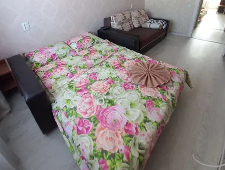 View of apartment for daily rent, Orsha, Mira Street 7 — photo 3